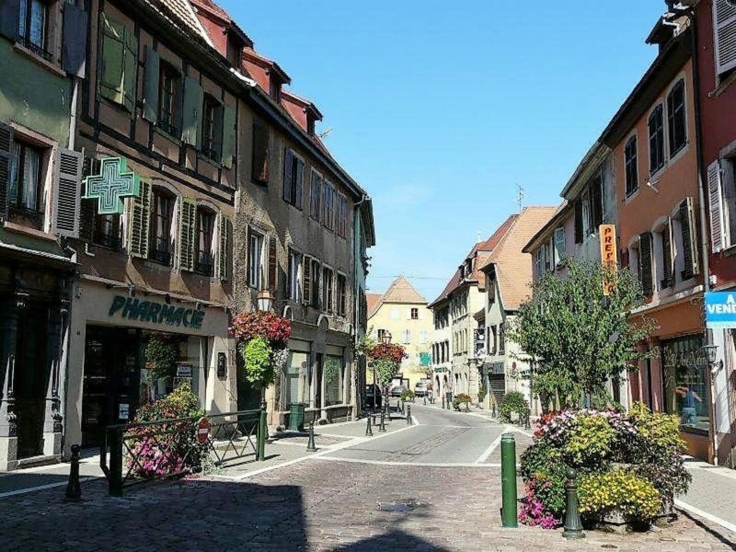 Studio L'Epicea Climatisation Sejour Parfait Soultz-Haut-Rhin Exterior photo